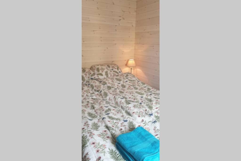 Nydelig Hytte I Kabelvag Lofoten エクステリア 写真