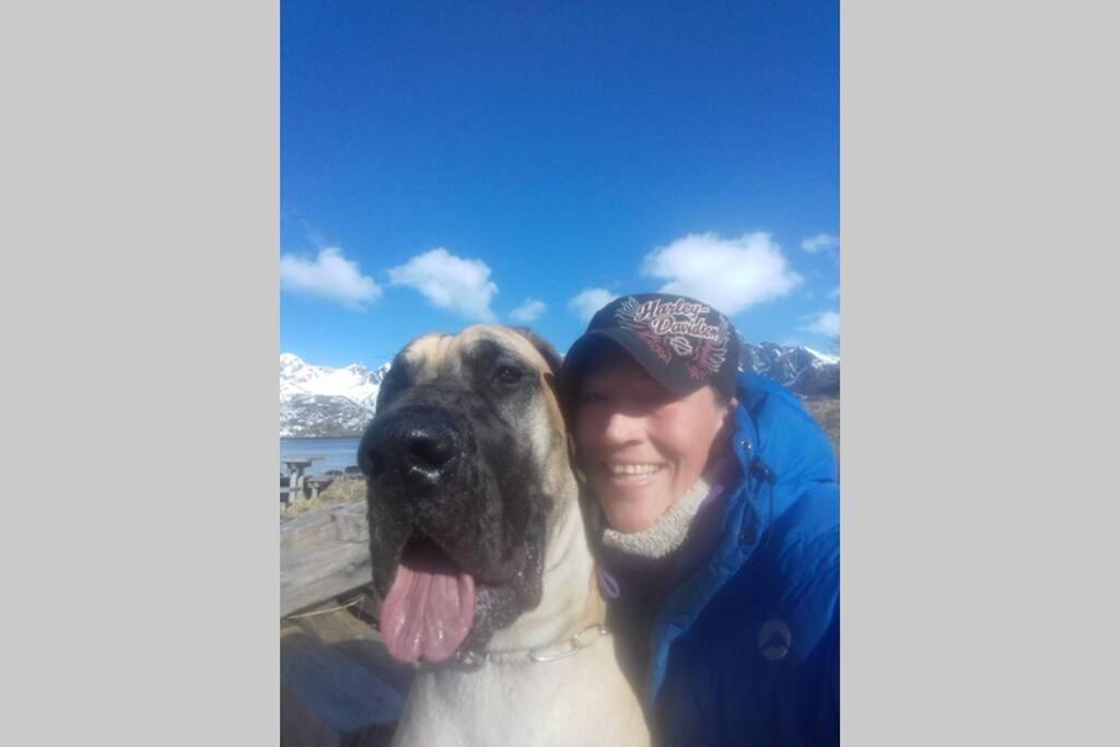 Nydelig Hytte I Kabelvag Lofoten エクステリア 写真