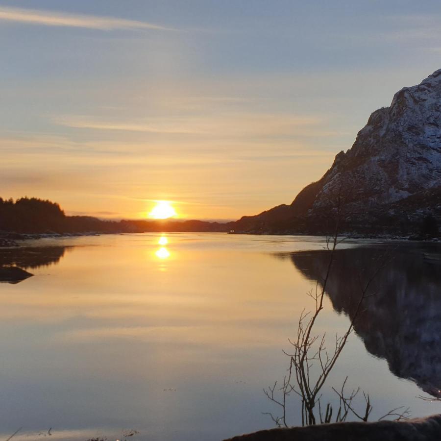 Nydelig Hytte I Kabelvag Lofoten エクステリア 写真